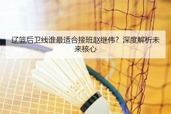 辽篮后卫线谁最适合接班赵继伟？深度解析未来核心